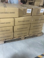 Bandas de Resistencia DAN YANG ZHENXING TPE para Ejercicios de Estiramiento, Fisioterapia y Fortalecimiento Muscular