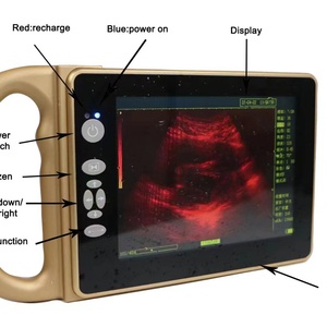 Échographe vétérinaire portable ECI-X4 avec écran de 8 pouces et 4 types de sondes - Product Image 2