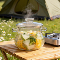 Casserole en verre borosilicate de haute qualité 2L / 67oz avec couvercle, compatible flamme nue, légère et portable pour le camping, les pique-niques et les camping-cars