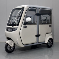 Tricycle Électrique Fermé 1200W 60V/72V, Mini-Voiture Électrique Fermée, Scooter Électrique en Gros