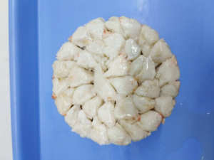 Высококачественное замороженное Пастеризованное Крабовое Мясо в крабе, лидер продаж, продукт с отличными характеристиками резки - Product Image 2