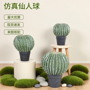 Plantes artificielles en pot Dream Castle, cactus, 10cm-30cm, décoration intérieure, style nordique, bonsaï, ornement du désert - Product Image 5