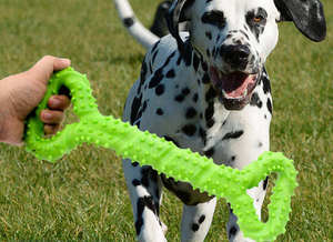 Kinghon Large Pull Ring <strong>Bone</strong> <strong>Dog</strong> Toy Pet Teeth Grinding Stick with Thorn <strong>Dog</strong> Interactive Training Pet Chew Toys for <strong>Dogs</strong> - Product Image 6