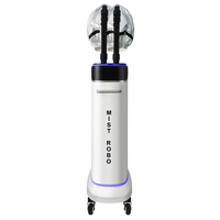 Teknologi Nano Mist Ion Negatif Profesional, Mesin Uap Ozon untuk Rambut dengan Layar Sentuh Digital untuk Salon Kecantikan
