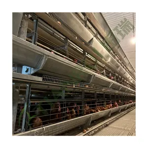 Best Price H Type High Quality Chicken Cage System Egg Laying Chicken Layer Cage For Sale
