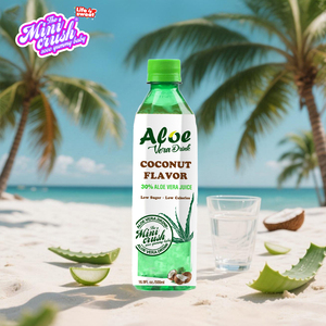Oem dừa Aloe Vera nước trái cây uống iso22000 được phê duyệt tự nhiên mềm uống trong chai nhựa - Product Image 1