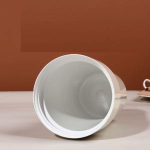 Vaso Térmico de Acero Inoxidable de 480 ml con Revestimiento Cerámico, Taza para Café, Leche, Bebidas, Botella con Pajita y Cuerda - Product Image 5