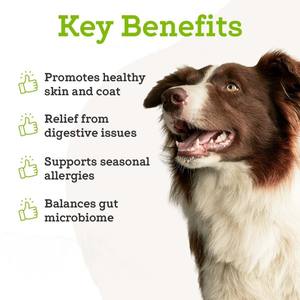 Integratori Probiotici per la Cura Digestiva dei Cani, Confezione Personalizzata, Prodotti per Animali Domestici Approvati dalla FDA - Product Image 2