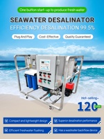 Système de dessalement d'eau de mer par osmose inverse certifié CE, contrôlé par un petit PLC, avec filtre à sable, capacité 120-250L/H, traitement de l'eau