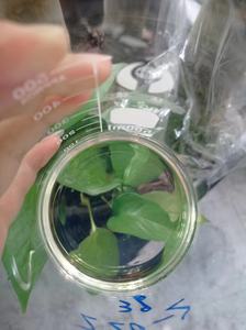 Gelatina sin sabor 220 línea de producción de polvo de gelatina ósea Blom gelatina Halal al-amin - Product Image 2