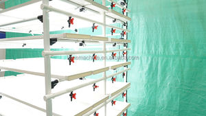 À vendre systèmes de culture aquaponique verticaux pour le système de microgreens hydroponiques de jardin - Product Image 6