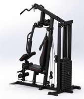 Appareil de musculation multifonctionnel 2-en-1 pour entraînement complet du corps, machine de force à station unique avec poids réglable pour la remise en forme à domicile
