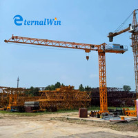Mini-grue de levage à tour à plateforme plate de 2, 4, 6, 8 tonnes pour la construction, fabrication chinoise