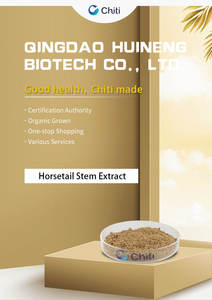 100% estratto di erbe di qualità alimentare naturale puro equiseto (equiseto Arvense) in polvere - Product Image 4