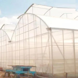 Serre à ventilation supérieure, serre naturellement ventilée avec structure robuste et durable, couverture résistante aux UV - Product Image 6