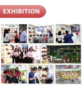 Soplador de Polvo y Niebla de Gasolina para Jardín NTS428 de 77cc, 2 Tiempos, de Gasolina, al por Mayor - Product Image 6