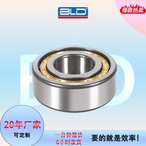 Rodamientos de rodillos cilíndricos ELD NJ206EM 30x75 mm P0 con jaula de latón de precisión para motores eléctricos - Product Image 4