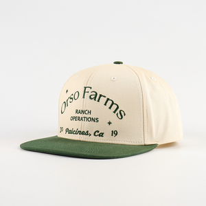 Gorra Snapback de Algodón y Sarga con Bordado Personalizado de Fábrica China al por Mayor, Gorra de Visera Plana Unisex Informal para MOQ Bajo - Product Image 1