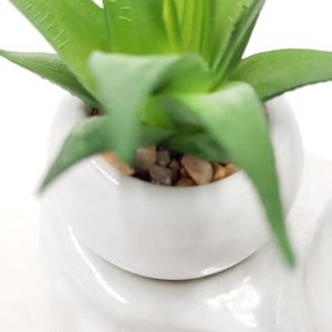 Artificial Succulents <strong>Plant</strong> <strong>Ceramic</strong> <strong>Pot</strong> with Tray - Product Image 5