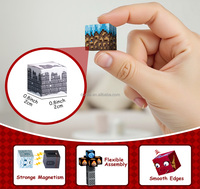 Blocs de construction magnétiques en glace et feu lumineux avec batterie remplaçable, design personnalisé, jouet sensoriel sûr, cadeau, cubes LED STEM