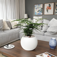 Pot de fleurs auto-arrosant au design moderne, en résine plastique épaissie, pour culture en terre ou hydroponie, idéal pour la décoration créative de la maison et le jardinage de bureau.