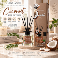 Diffuseur de parfum en verre en gros avec huile parfumée et bâtonnets en rotin naturel pour la décoration de chambre, salle de bain et salon