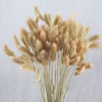 Buket Rumput Ekor Kelinci Kering AYOYO, Rumput Ekor Anjing Asli yang Dikeringkan Secara Alami untuk Dekorasi Natal, Pernikahan, dan Dekorasi Dalam Ruangan