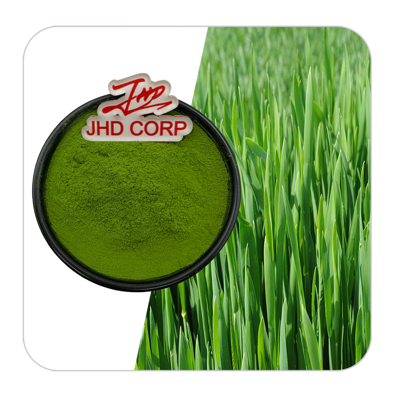 JHD Factory Wholesale Natural Green Barley