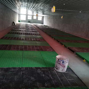 Lit de mise bas ventilé pour l'Asie du Sud, cage de mise bas pour truies galvanisée à chaud avec plancher antidérapant, équipement d'élevage porcin - Product Image 4