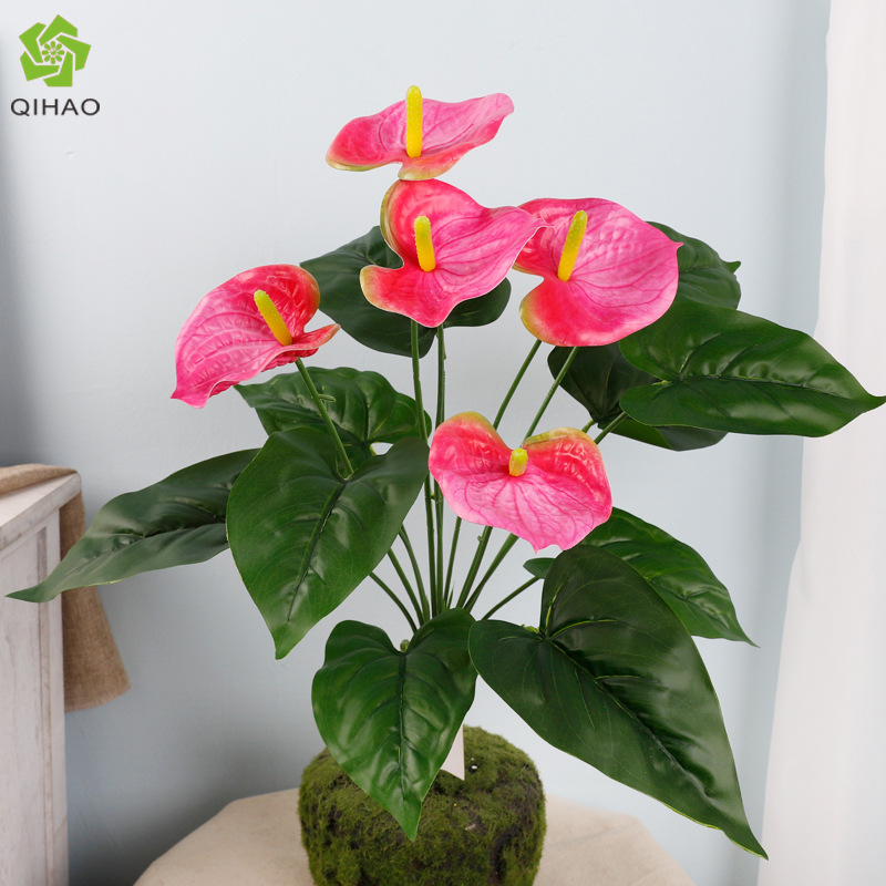 Anthurium à 15 têtes [Rose Rouge]