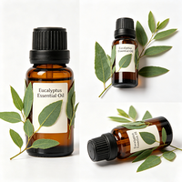 Huile Essentielle d'Eucalyptus Pure, Naturelle et Biologique, Purifiante, Rafraîchissante, Soin de la Peau, Aromathérapie, Huile de Massage pour Diffuseur