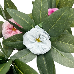 Primavera nuova Mini artificiale fiore Austin e camelia decorazione transfrontaliera stile foresta per san valentino - Product Image 1