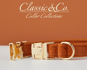 Ensemble collier et laisse pour chien personnalisé Caramel Veet, boucle en métal gravée sur mesure, cadeau d'anniversaire pour chiot, livraison gratuite - Product Image 5