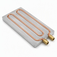 Plaque froide liquide en cuivre haute performance - Refroidisseur en cuivre enduit d'époxy - Dissipateur thermique personnalisé pour appareils industriels