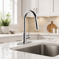 Robinet de cuisine OEM personnalisé pour villa et usage commercial, sans plomb, à poignée unique, extractible, en gros d'usine, nickel brossé, acier inoxydable 304