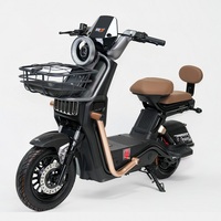 Modèle A70 ------ Vélo électrique Ridstar fabriqué en Chine