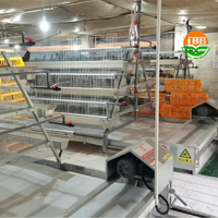 Cages galvanisées de batterie pour poulets à 4 niveaux 160 oiseaux de type a Équipement de ferme avicole Cages automatiques de ponte à vendre