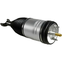 Air Suspension Strut for Dodge Ram 1500 2013-2019 Front Left 4877146AA