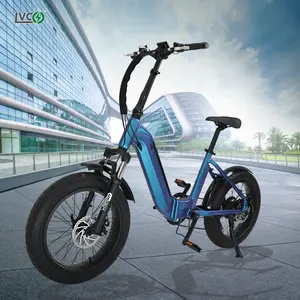 LVCO mujer ebike plegable e-bike bicicleta eléctrica con CE compras en línea Canadá e-bike plegable fábrica personalizada MOQ 30PCS