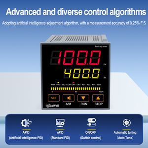 Contrôleur de Température Programmable Haute Qualité à 30 Étapes avec Communication RS485 Modbus RTD, Construction Métallique, OEM/ODM - Product Image 3