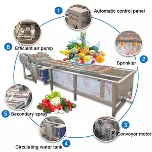 Máquina automática de lavar e secar frutas e vegetais, alta produtividade, bolhas de limpeza, 2024