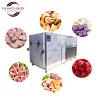 Lyophilisateur 4 kg -80°C, machine de lyophilisation pour aliments, lyophilisateur Lanphan avec pompe à huile