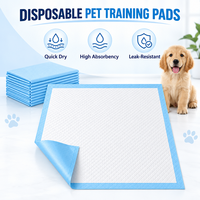 Alèses absorbantes jetables pour chiots, surface diamantée Dry-Touch, noyau haute capacité, protection anti-fuite pour l'apprentissage à la propreté à domicile