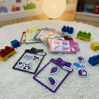 Juego Educativo de Clasificación de Colores Magnéticos para Niños Pequeños, Juguetes de Aprendizaje Montessori, Reconocimiento de Colores, Actividades Preescolares