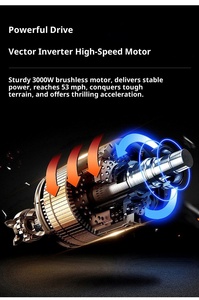 Moto Elettrica da Corsa 60V Edizione Giovani con Velocità Massima di 80km/h, Direttamente dalla Fabbrica - Product Image 5