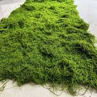 Künstlicher Plastik-Moos-Teppich für Festliche Aquatische Terrarien Bonsai Topf-Wanddekoration - für Weihnachten Ostern Erntedankfest