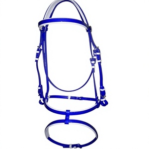 Accesorios ecuestres de PVC de alta calidad personalizables, duraderos, de color sólido, con hebilla ajustable para caballos. - Product Image 3