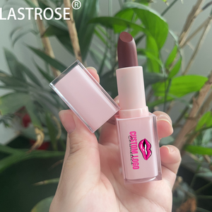 Prezzo all'ingrosso nuovo rossetto vegano in velluto opaco OEM Private Label rossetto solido - Product Image 1