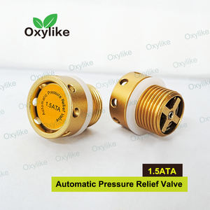 <span class=keywords><strong>HBOT</strong></span>チャンバー高圧酸素装置用自動圧力リリーフバルブ - Product Image 4