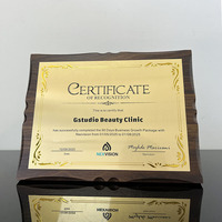 Placa de Cristal y Vidrio Plateada en Oro y Plata Personalizada, Ecológica, Pulida y Grabada, Certificado con Diseño Personalizado, Premios